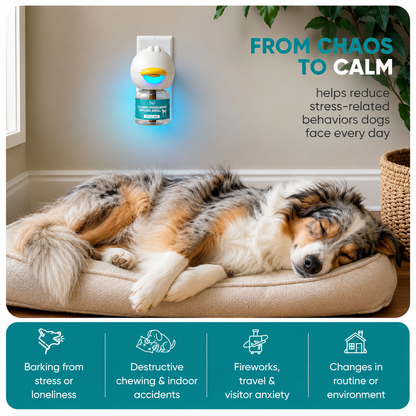 Stillpaw Calming Diffuser